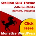 Best WordPress SEO Theme